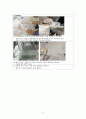 실험과정 최종정리1 4페이지