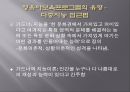 (영유아보육프로그램) 다중지능접근법 프레젠테이션 2페이지
