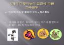 (영유아보육프로그램) 다중지능접근법 프레젠테이션 6페이지