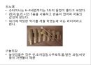 (영유아보육프로그램) 발도르프 유아교육 프로그램 프레젠테이션 레포트 자료 15페이지
