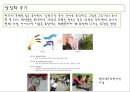 (영유아보육학) 레지오 밀리아 접근법 프레젠테이션 8페이지