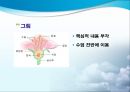 시각 자료 6페이지