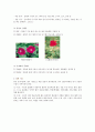 식물의 구조 (영양기관, 생식기관) 10페이지
