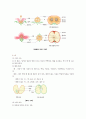 식물의 구조 (영양기관, 생식기관) 12페이지