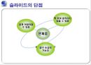 투사 시각 자료 (Projection Visual Material) 13페이지