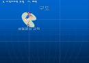시각 원리 29페이지