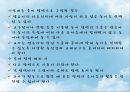 영유아 보육환경 (실내보육환경, 실외보육환경).ppt 4페이지