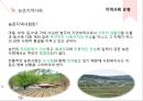 지역사회와 지역사회복지실천(특성, 유형, 지역사회복지실천사례, 연관성) 17페이지