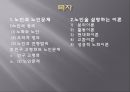 (사회복지개론) 노인과 노인문제, 노인이론 2페이지