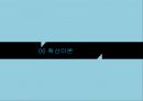 사회복지정책의 이론요약 PPT 프레젠테이션 21페이지