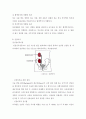 만성신부전 (CRF: Chronic renal failure)  10페이지