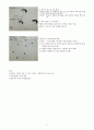 보건교육계획서 5페이지