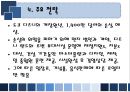 유로디즈니의 유럽진출 실패 사례 9페이지