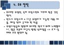 유로디즈니의 유럽진출 실패 사례 11페이지