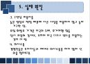 유로디즈니의 유럽진출 실패 사례 16페이지