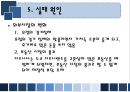 유로디즈니의 유럽진출 실패 사례 17페이지