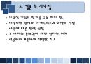 유로디즈니의 유럽진출 실패 사례 19페이지