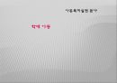 (아동복지론) 아동학대와 학대아동복지.PPT자료 2페이지