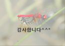 (아동복지론) 학대아동.PPT자료 13페이지