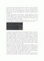정치개혁(정치혁신) 정의, 정치개혁(정치혁신) 민주화, 정치개혁(정치혁신) 성공조건, 제1공화국(이승만정부), 제3공화국(박정희정부), 문민정부(김영삼정부), 국민의정부(김대중정부), 참여정부 정치개혁(정치혁신) 16페이지