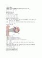 투석환자혈관 종류와 간호 4페이지
