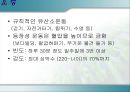 고혈압 17페이지