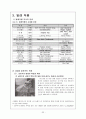 발레의 역사, 사조별로 본 발레의 역사, 발레사에 업적을 남긴 인물, 발레용어, 발레 작품 23페이지