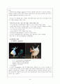 발레의 역사, 사조별로 본 발레의 역사, 발레사에 업적을 남긴 인물, 발레용어, 발레 작품 24페이지