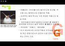 발레 (업적을 남긴 무용수와 작품을 중심으로).ppt 42페이지