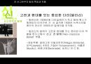 발레 (업적을 남긴 무용수와 작품을 중심으로).ppt 64페이지