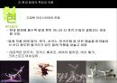 발레 (업적을 남긴 무용수와 작품을 중심으로).ppt 66페이지