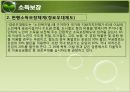 현행 노인복지정책과 서비스(소득보장, 고용보장, 주거보장, 건강보장, 사회서비스) PPT 프레젠테이션 14페이지