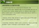 현행 노인복지정책과 서비스(소득보장, 고용보장, 주거보장, 건강보장, 사회서비스) PPT 프레젠테이션 17페이지