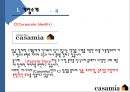 까사미아 (Casamia) - 기업명, ci, 기업이념 ,사업 분야 (brand) ,성공전략 ,원스톱 전략,전략적 포인트.PPT자료 5페이지