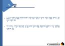 까사미아 (Casamia) - 기업명, ci, 기업이념 ,사업 분야 (brand) ,성공전략 ,원스톱 전략,전략적 포인트.PPT자료 24페이지