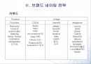 김치냉장고 ‘다솜채’ 리네이밍 (Renaming) - 프로젝트 배경 및 목표, 시장분석, 3C분석, SWOT분석, 브랜드 네이밍 전략.PPT자료 18페이지