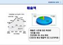 대한항공마케팅전략.대한항공분석.항공시장환경분석,대한항공전망및향후과제 10페이지