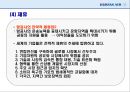 대한항공마케팅전략.대한항공분석.항공시장환경분석,대한항공전망및향후과제 22페이지
