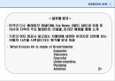 대한항공마케팅전략.대한항공분석.항공시장환경분석,대한항공전망및향후과제 28페이지