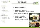 더_페이스샵,해외진출전략,브랜드마케팅,서비스마케팅,글로벌경영,사례분석,swot,stp,4p 11페이지