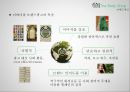 더바디샵(The Body Shop),화장품시장분석,화장품산업,브랜드마케팅,서비스마케팅,글로벌경영,사례분석,swot,stp,4p 5페이지