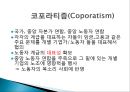대의민주주의의 문제점과 광장민주주의적 지혜,대인민주주의,광장민주주의,옴부즈만제도,코포라티즘 18페이지