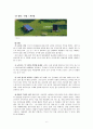 동서식품 ‘카누’,국내커피시장분석,브랜드마케팅,서비스마케팅,글로벌경영,사례분석,swot,stp,4p 6페이지
