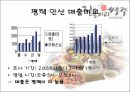 짚동가리 쌩주 상권분석.ppt 14페이지