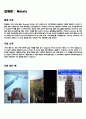 업체조사 5페이지