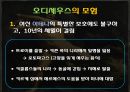 그리스로마신화 15페이지