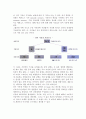 [소비자행동과 광고전략] 소비자의 정보처리모델(소비자의 정보획득,정보처리,스키마이론을 통한 광고전략) 4페이지