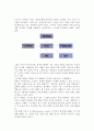 [소비자행동과 광고전략] 소비자의 정보처리모델(소비자의 정보획득,정보처리,스키마이론을 통한 광고전략) 6페이지