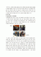 닌텐도DS 마케팅전략분석과 닌텐도 기업분석 및 닌텐도DS 성공법칙 및 향후전략 14페이지