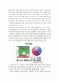 닌텐도DS 마케팅전략분석과 닌텐도 기업분석 및 닌텐도DS 성공법칙 및 향후전략 26페이지